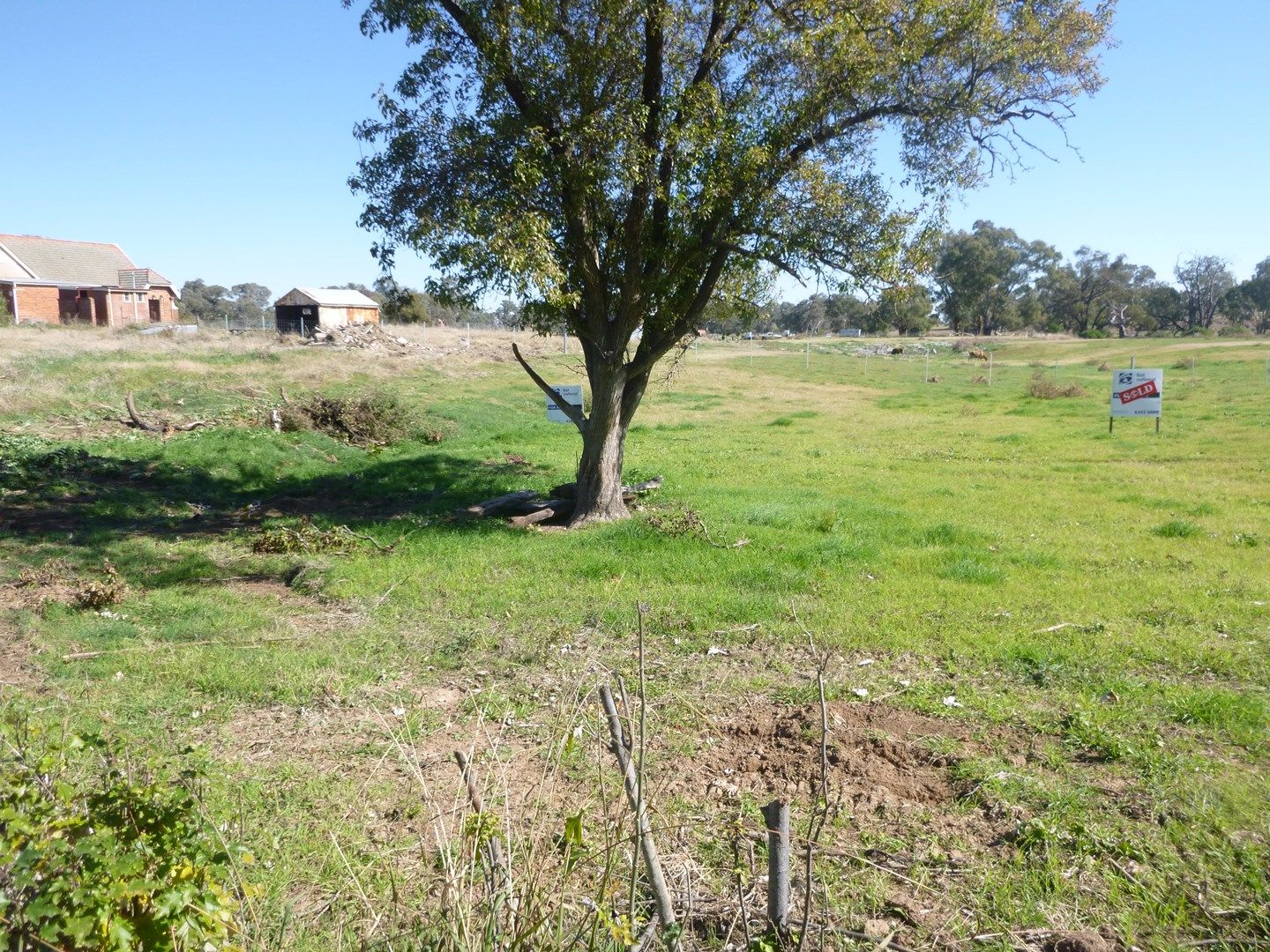 Lot 5 Griffith Street, Greenethorpe NSW 2809, Image 0