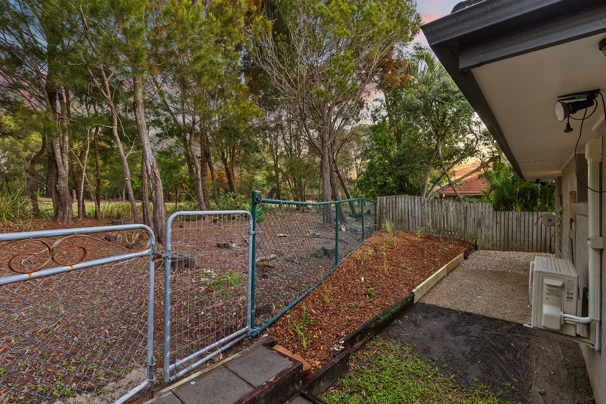 Image 13