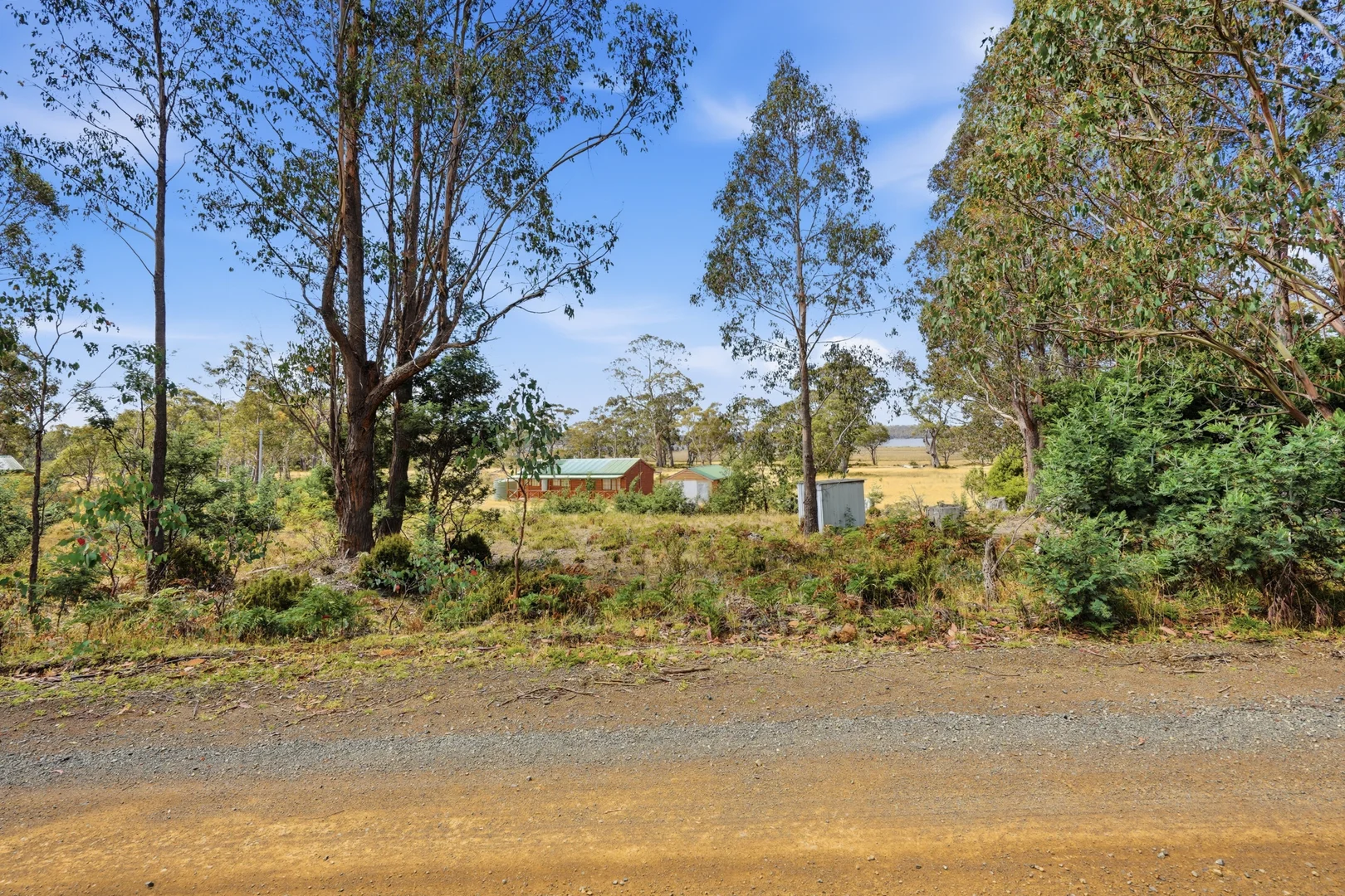 Image 29