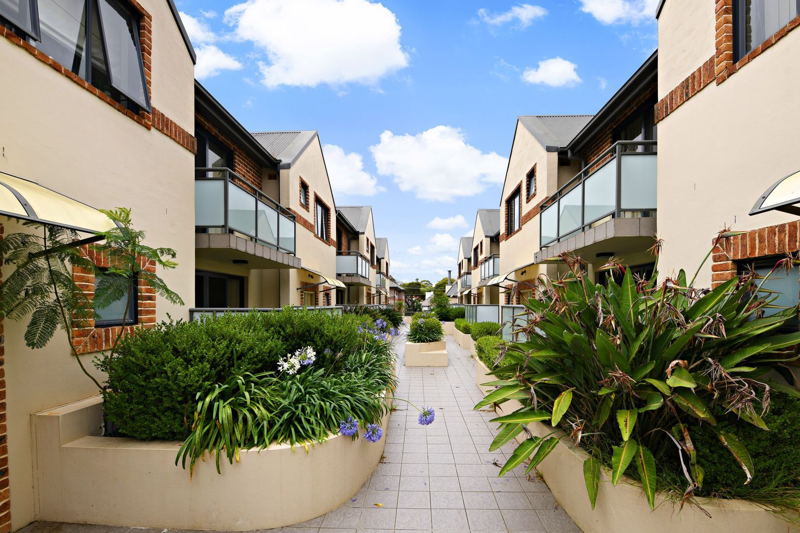 4/2729 Smith Street, Summer Hill NSW 2130 Townhouse For Rent Domain