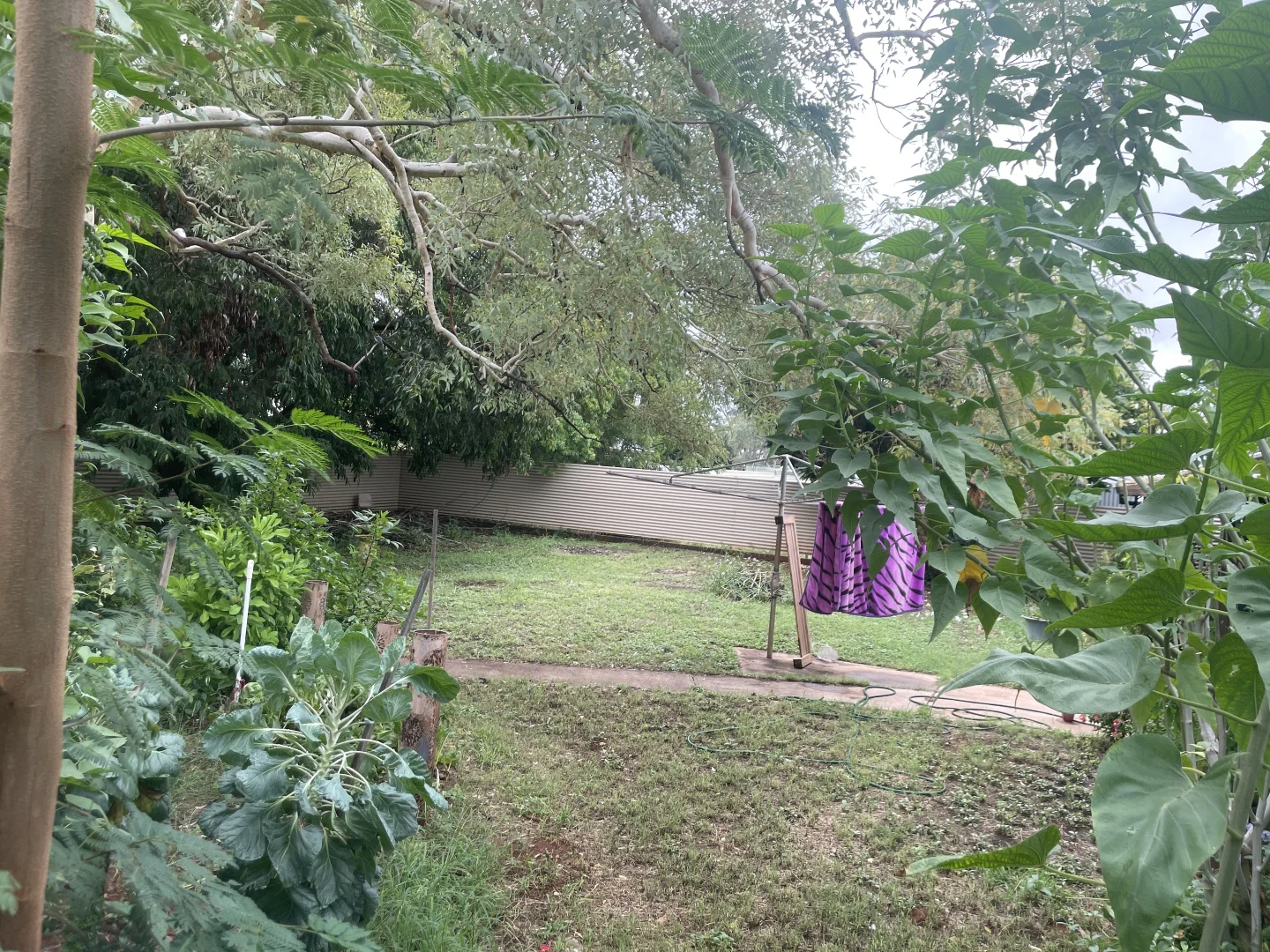 Image 12