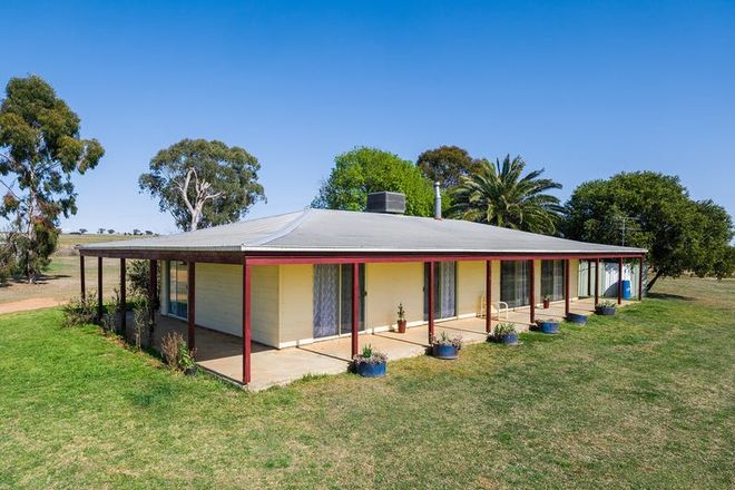 Picture of 2231 Oxley Highway, BECTIVE NSW 2340