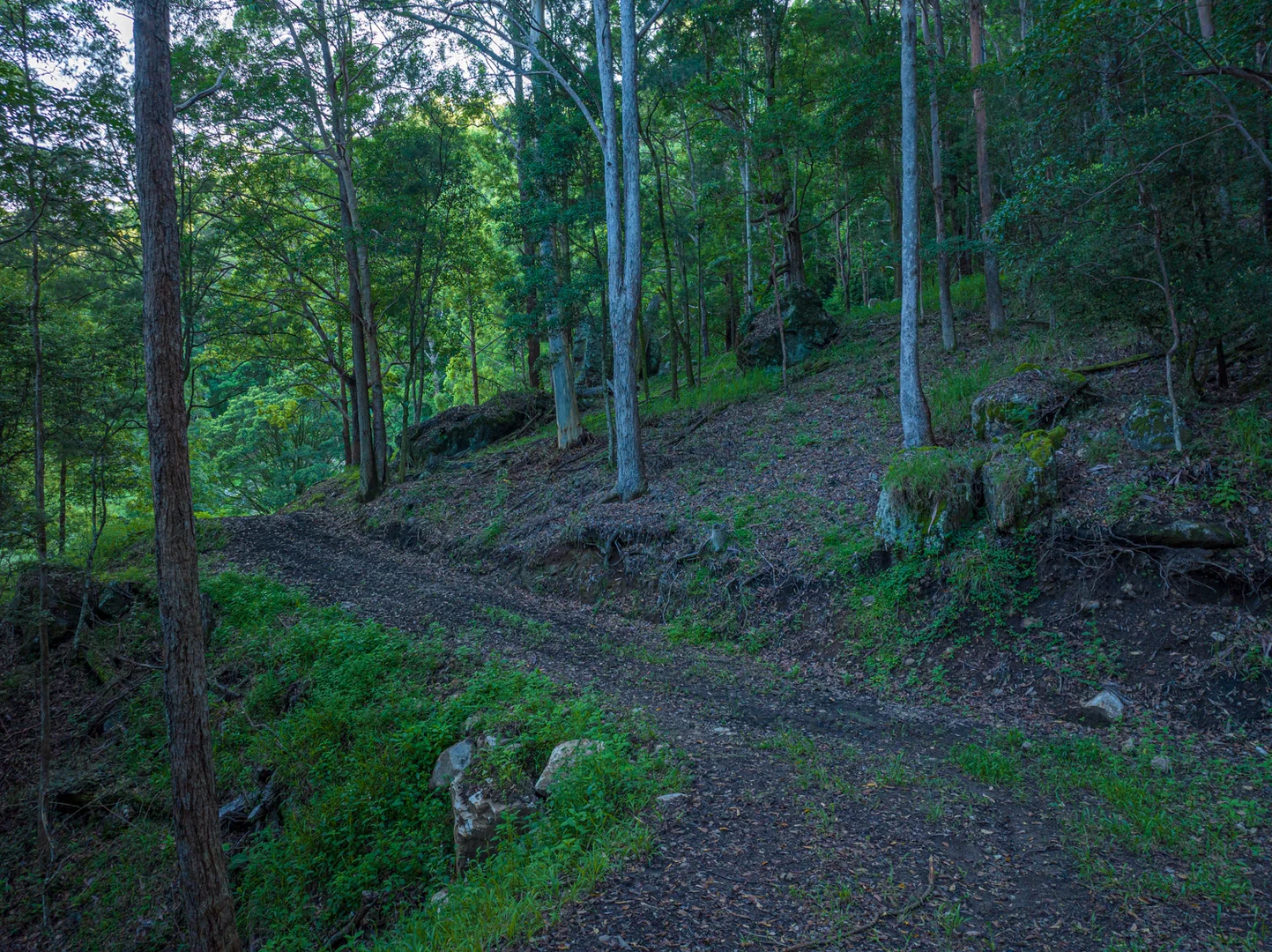 Image 34