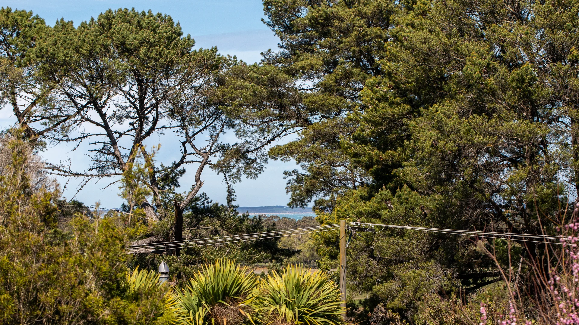 Additional image 14 of 25 Azure Avenue, Balnarring VIC 3926