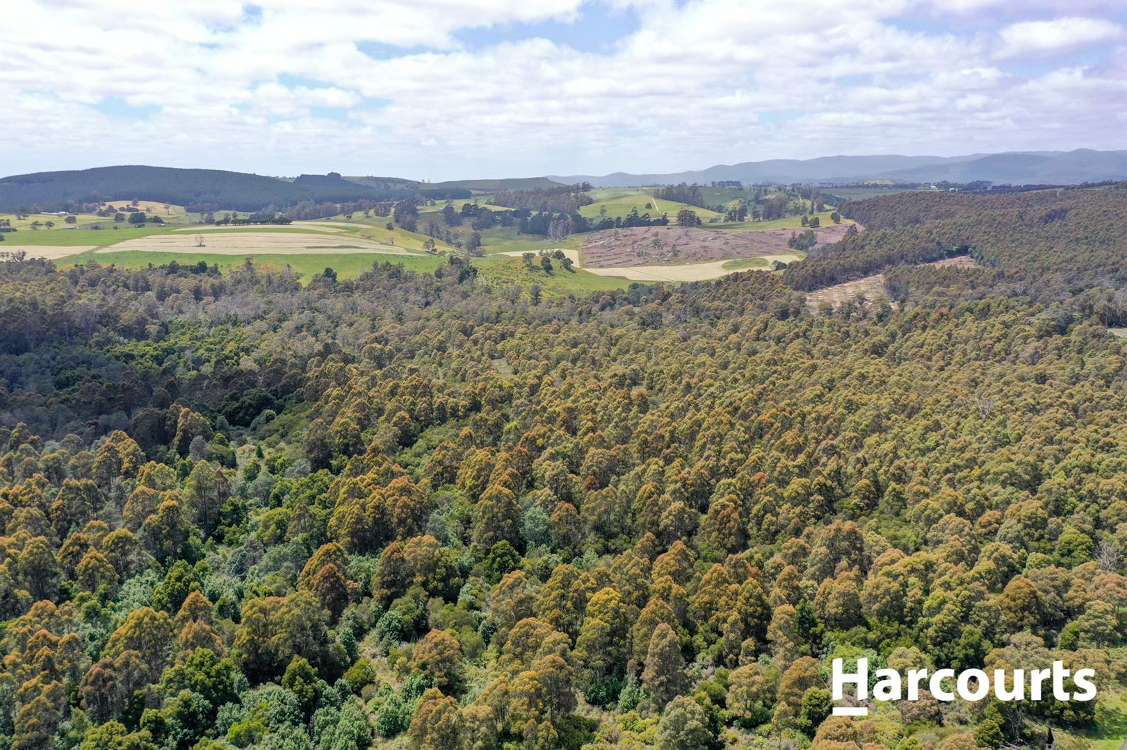 lot 1 Johnsons Road, Winnaleah TAS 7265, Image 0