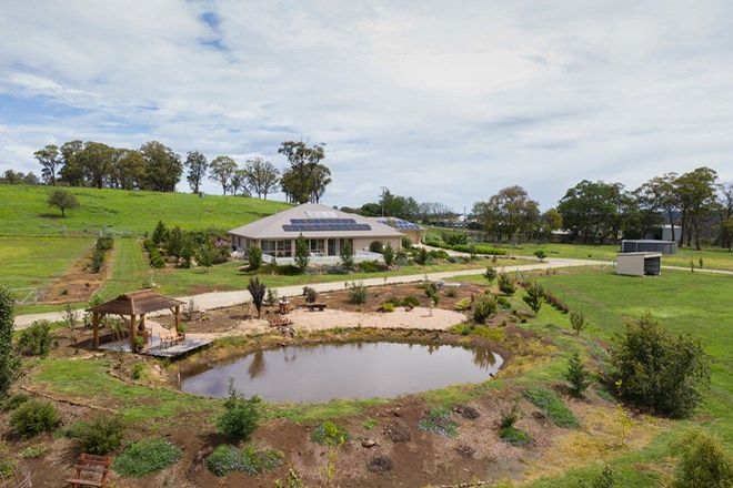 Picture of 301 Toms Gully Road, BLACK MOUNTAIN NSW 2365