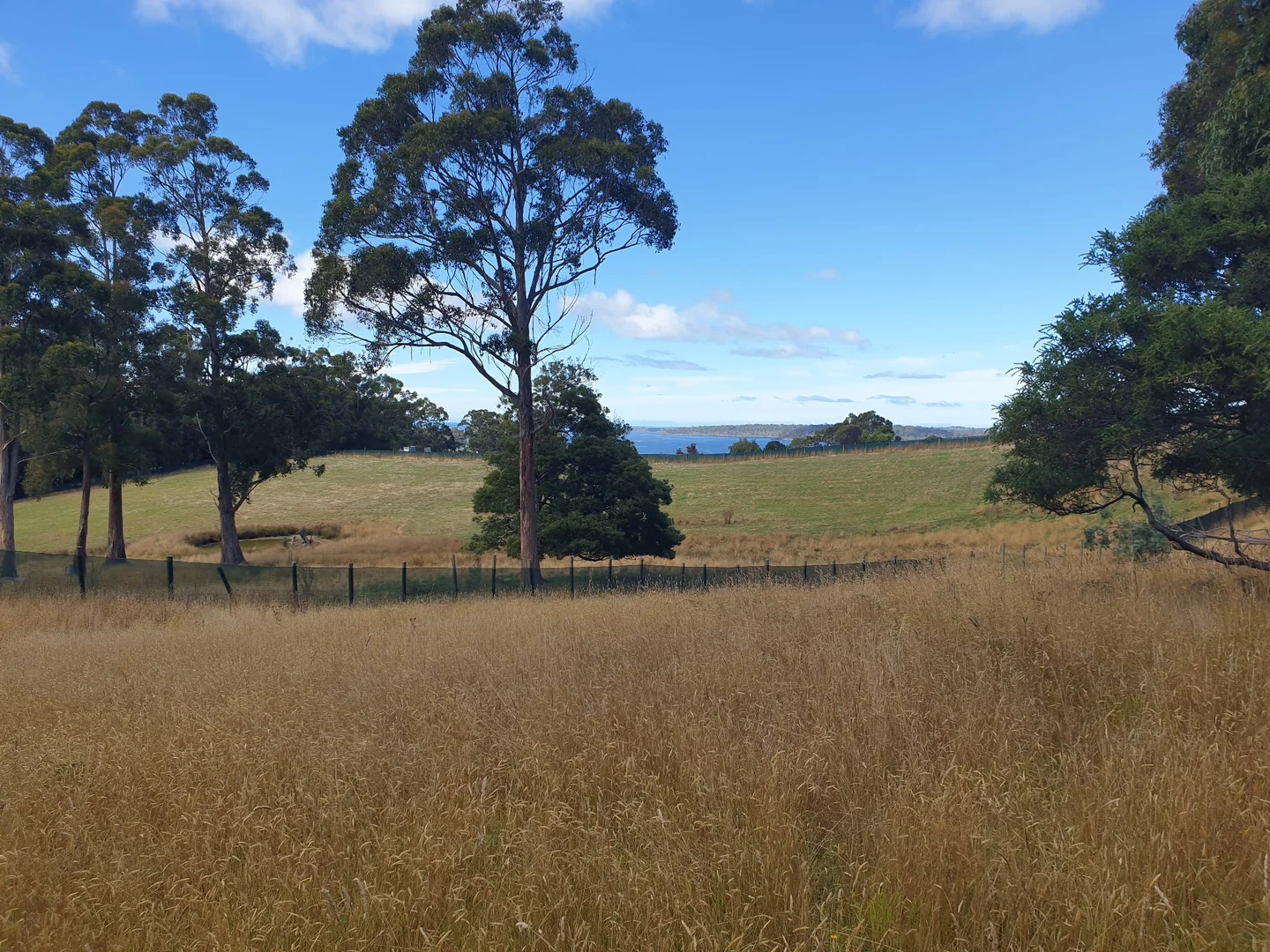 Additional image 5 of Lots 1 & 3 Plummers Road, Southport TAS 7109