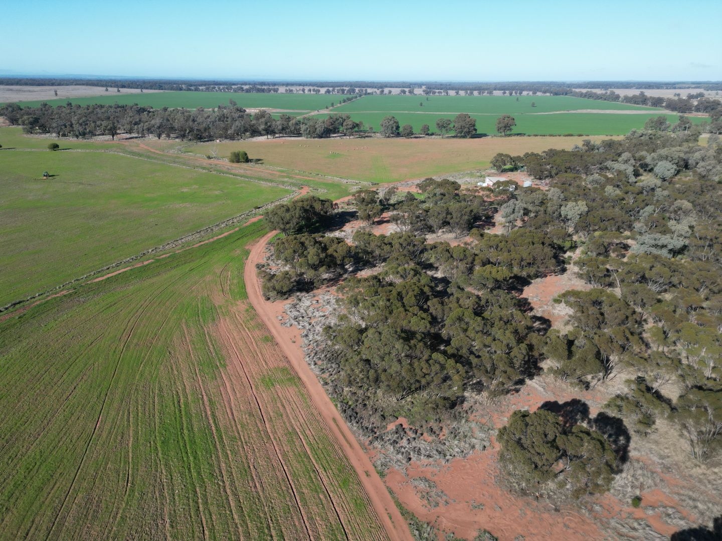 'Kanembo' 13166 Newell Highway, West Wyalong NSW 2671 Farm for Sale