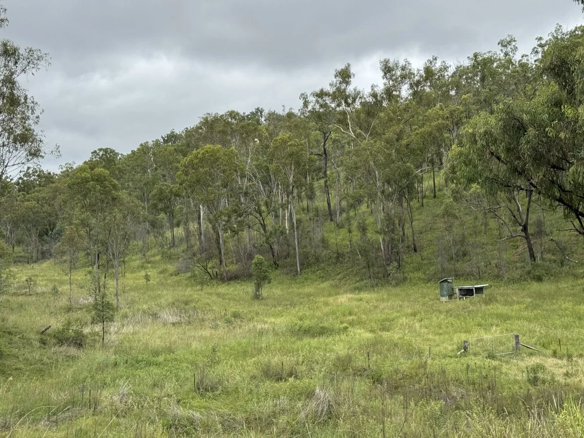 Additional image 30 of 1609 Monal Road, Monto QLD 4630