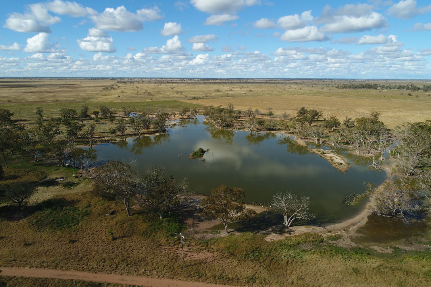 ' THURN', Coonamble NSW 2829 House for Sale Domain