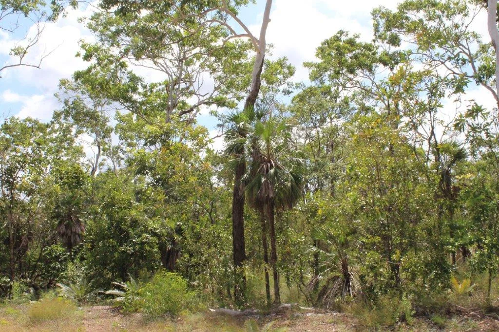 Additional image 11 of 155 Serrata Road, Dundee Downs NT 0840