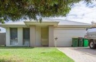 sdea elders bunbury wa street