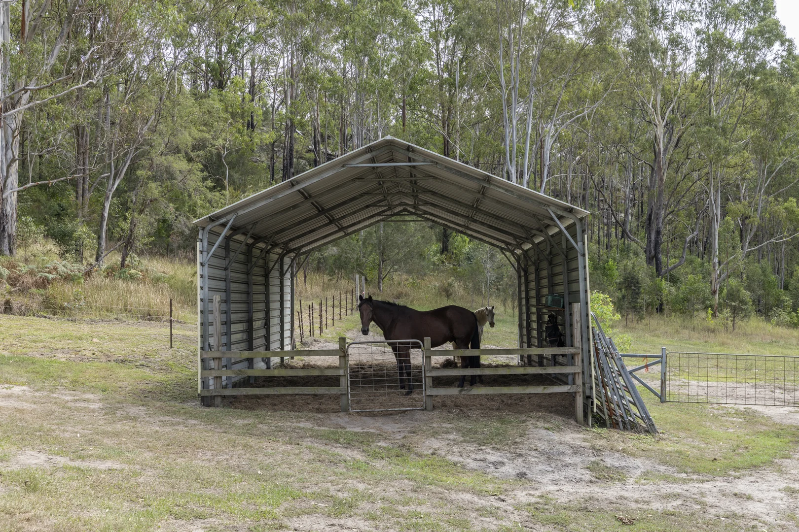 Additional image 31 of 2324 Armidale Road, Blaxlands Creek NSW 2460