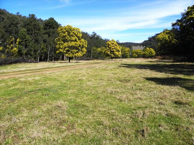 553 Upper Yango Creek Road, Laguna NSW 2325