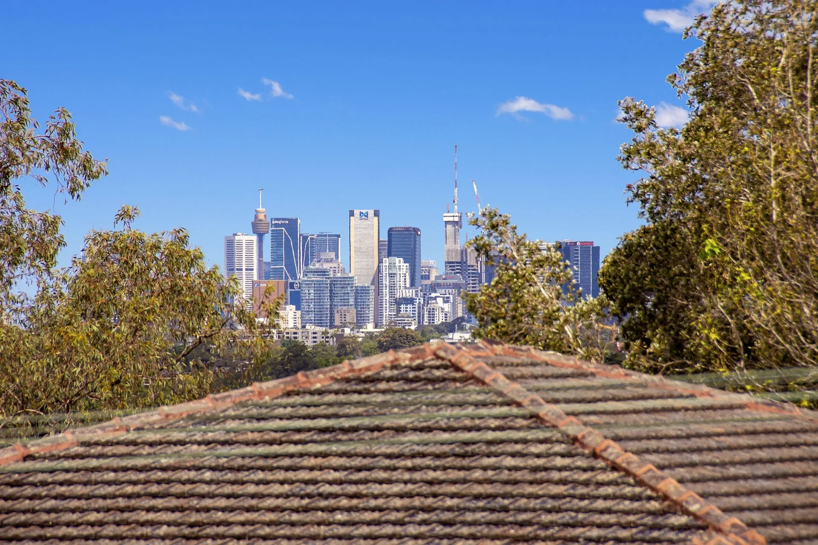 Additional image 8 of 119 Melwood Avenue, Killarney Heights NSW 2087