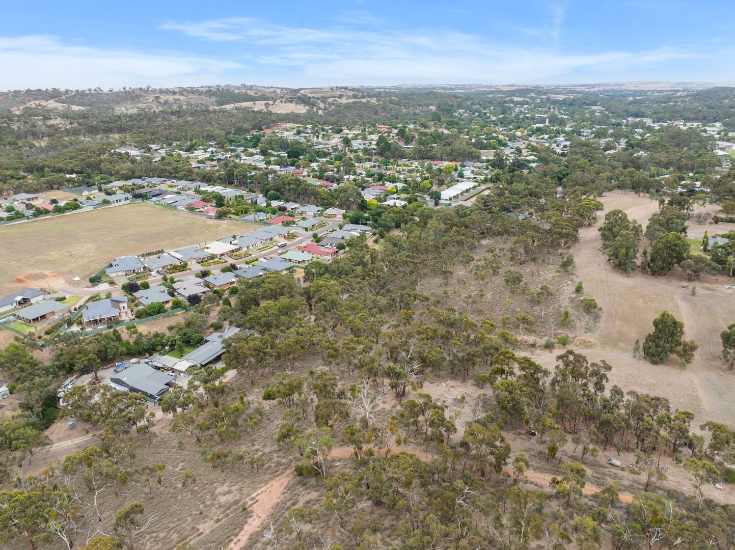 Lot 1000 Hanlins Road, Clare SA 5453, Image 2