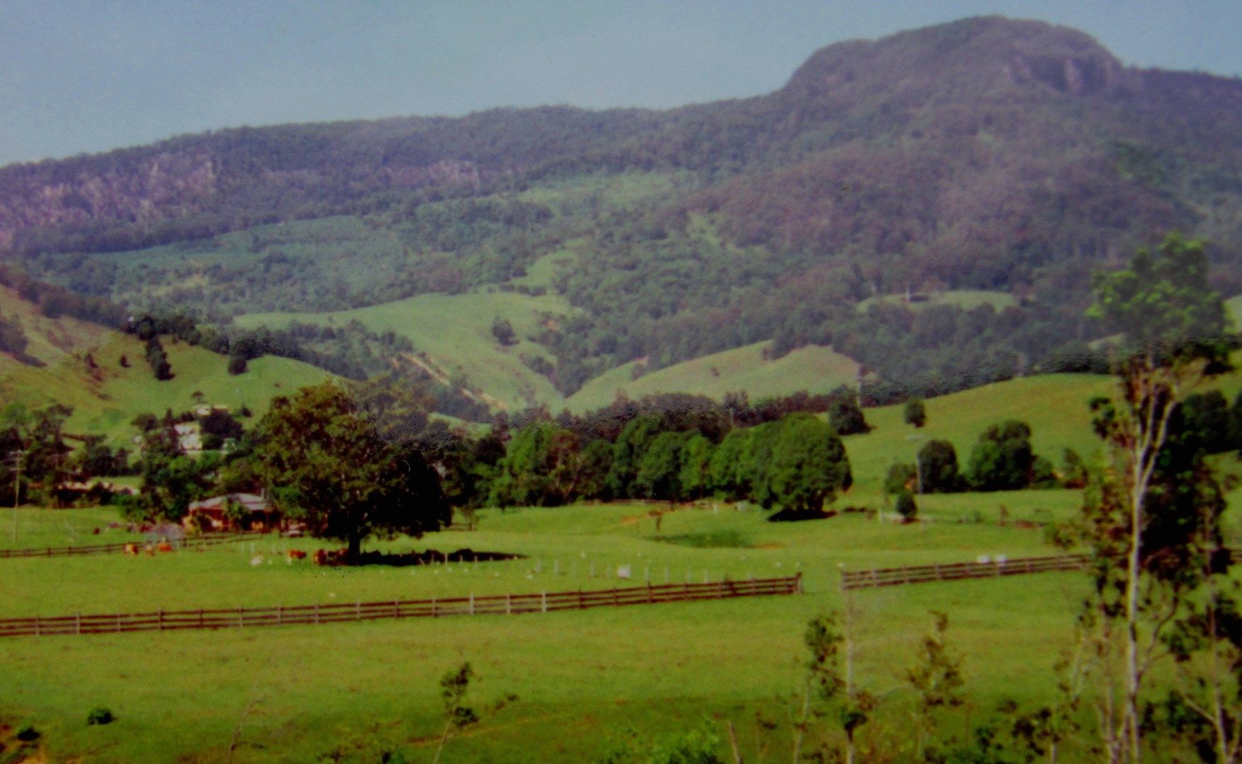 32 Blindmouth Road, Main Arm Property History & Address Research Domain