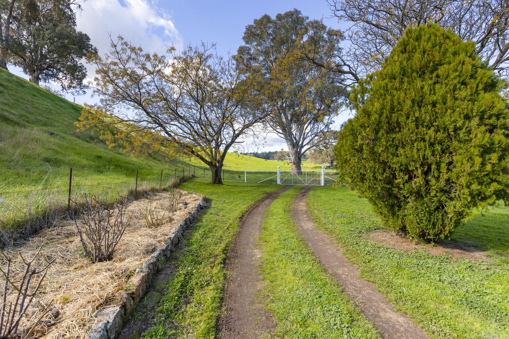 Borambola NSW 2650, Image 1