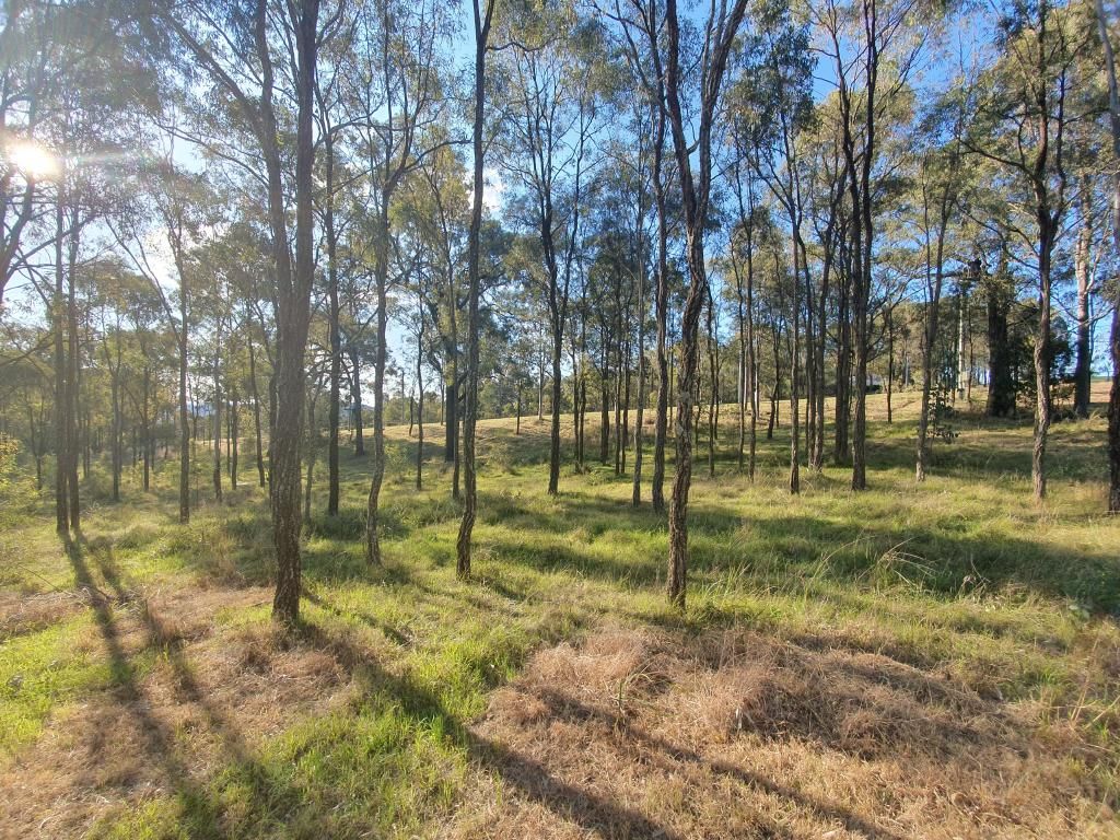 Lot215 Kingfisher Court, Muscle Creek NSW 2333, Image 1