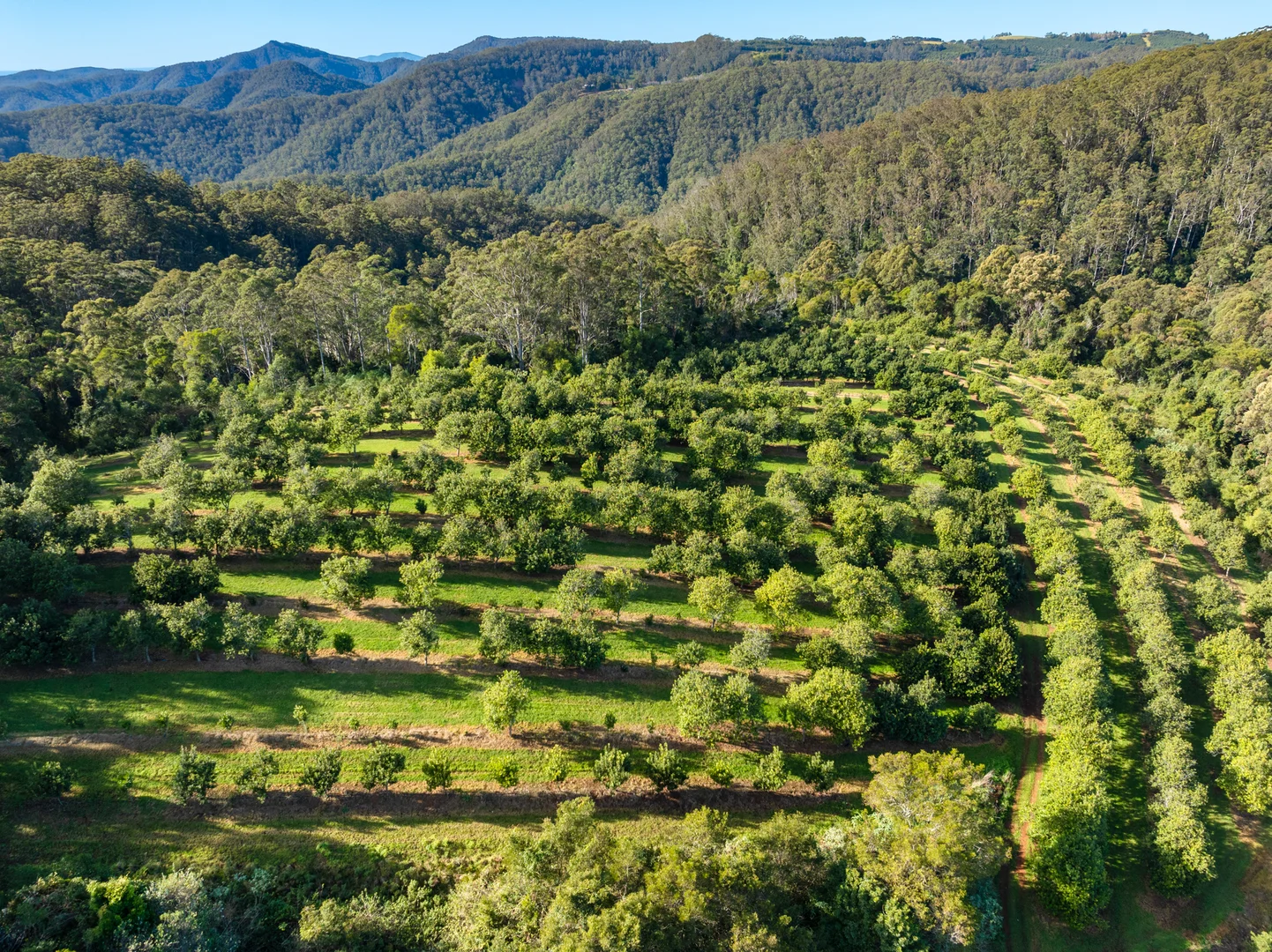 Additional image 21 of 480 Ponsfords Road, Comboyne NSW 2429