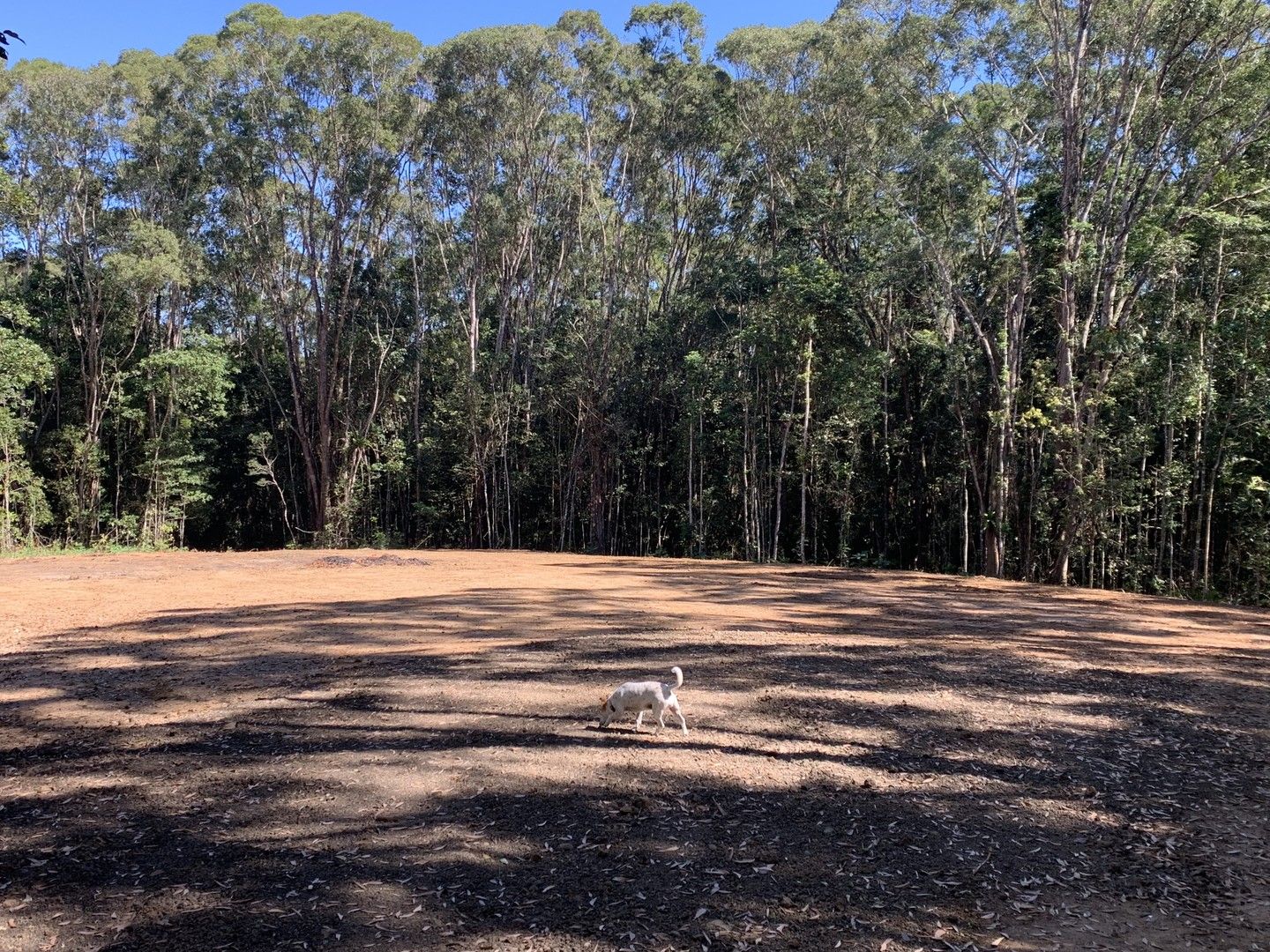 Rural in RN43 STEWART ROAD, DANBULLA QLD, 4872