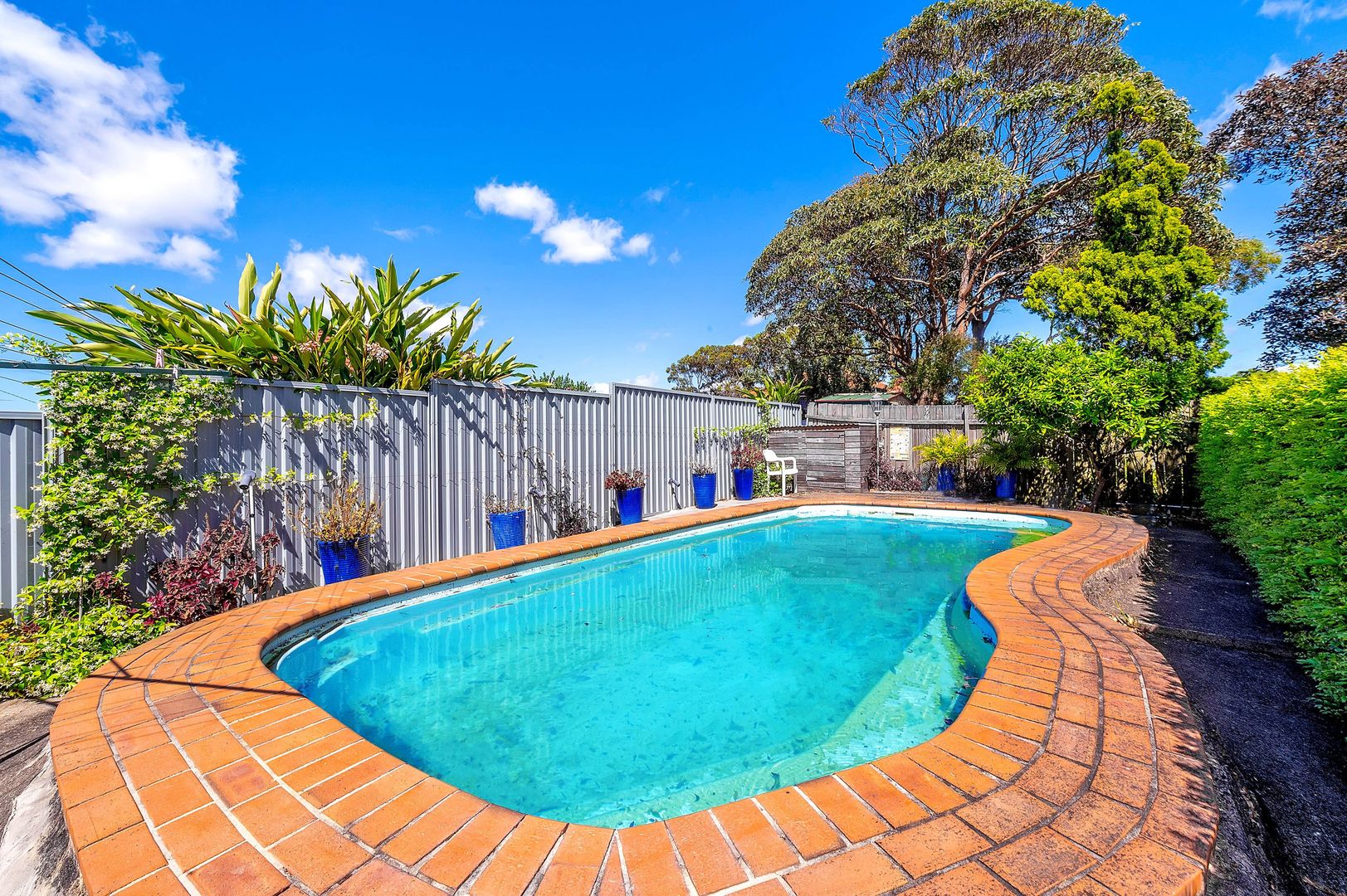 3 Jellicoe Avenue, Kingsford NSW 2032 House For Rent Domain