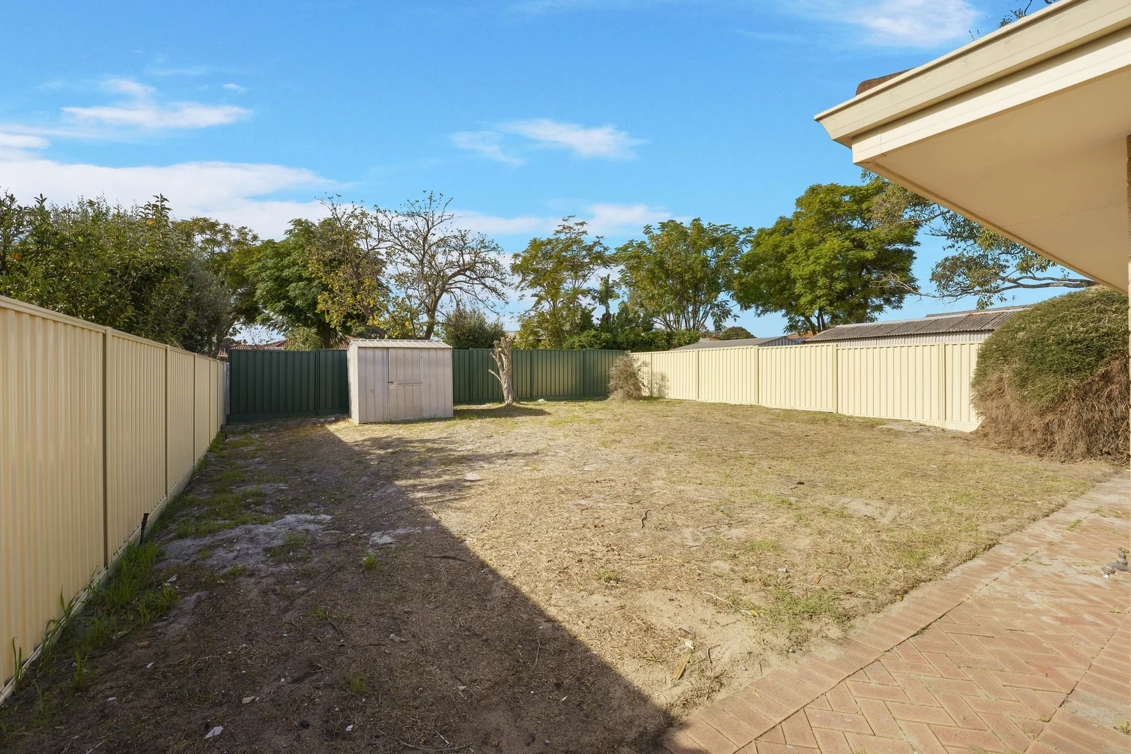 Image 23