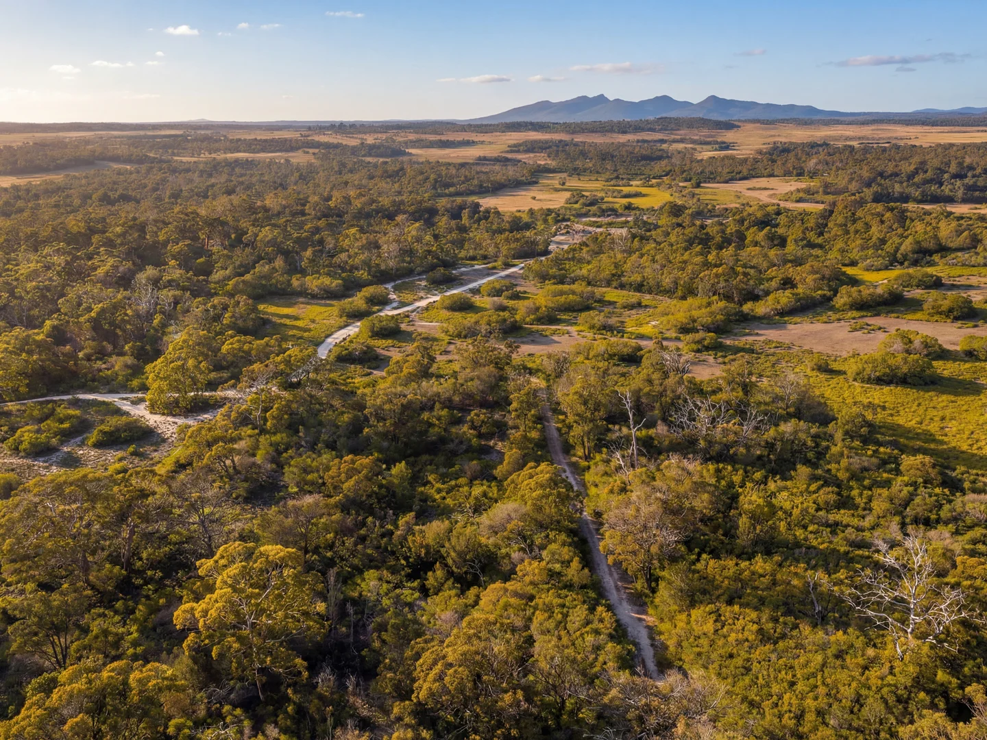 Additional image 6 of Lot 1 & 2 Waterhouse Road, Waterhouse TAS 7262
