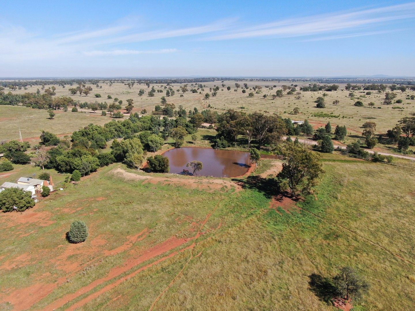 2275 Grassmere Road, Condobolin NSW 2877, Image 0