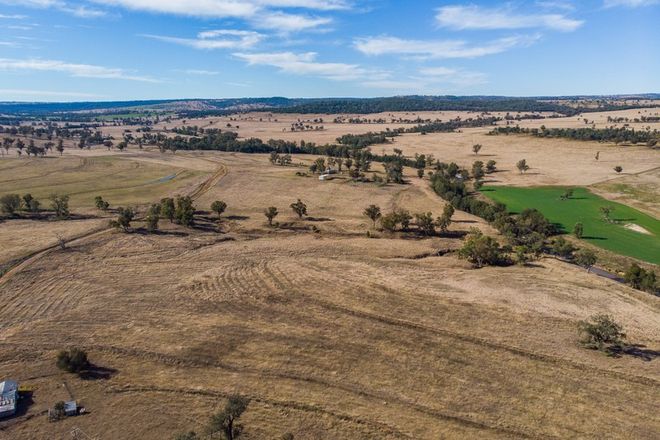 Picture of 904 Sheep Station Creek Road, MYALL CREEK NSW 2403