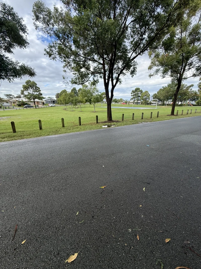 Image 9