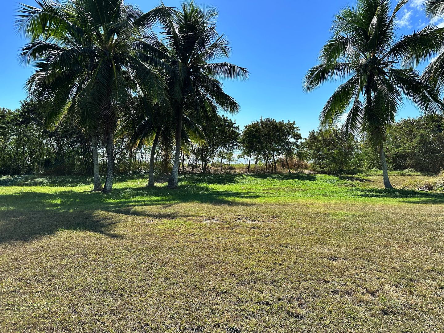 43 Keith Williams Dr, Cardwell QLD 4849, Image 1