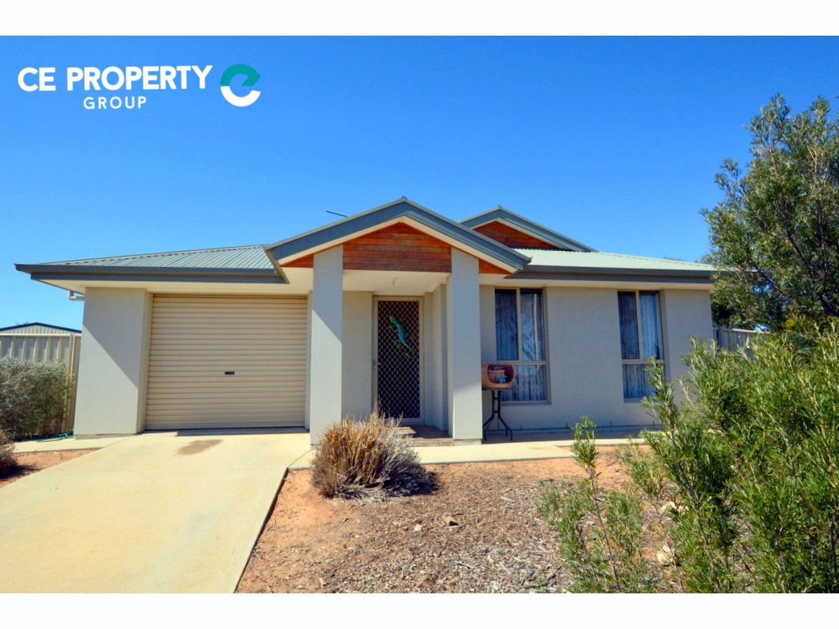 89 Sickerdick Street, Mannum SA 5238, Image 0