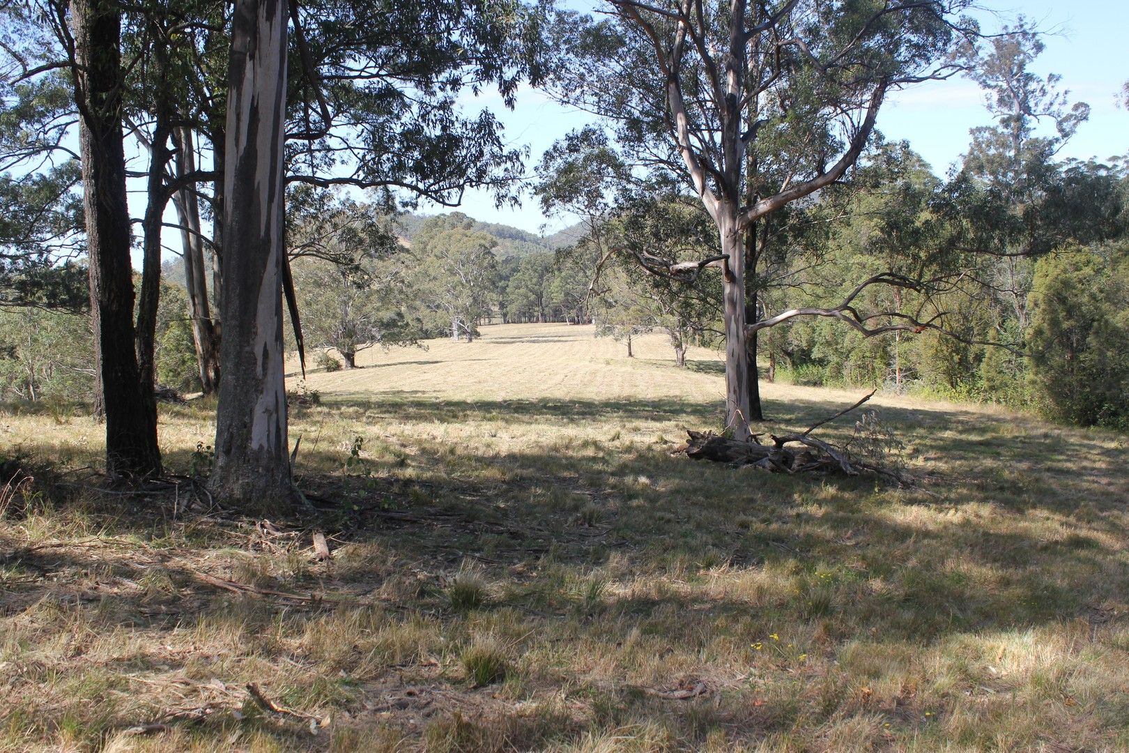 Lot 79 via 577 Black Flat Lane, Wherrol Flat via Wingham, Wherrol Flat NSW 2429, Image 0