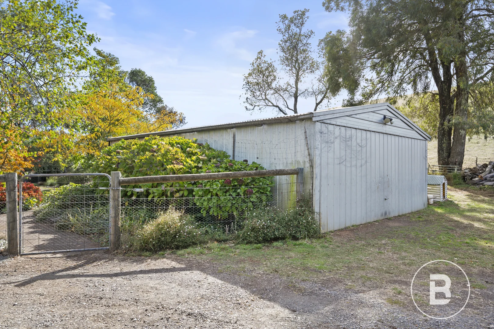 Image 15