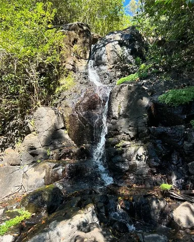Image 26