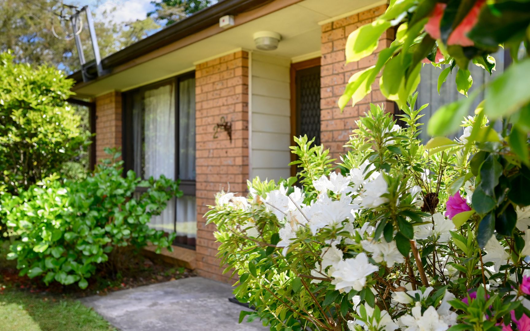 22 Railway Parade, Wentworth Falls NSW 2782, Image 1