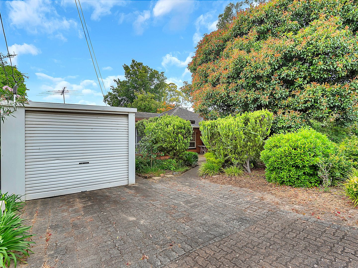 36 Butler Crescent, Banksia Park SA 5091, Image 1