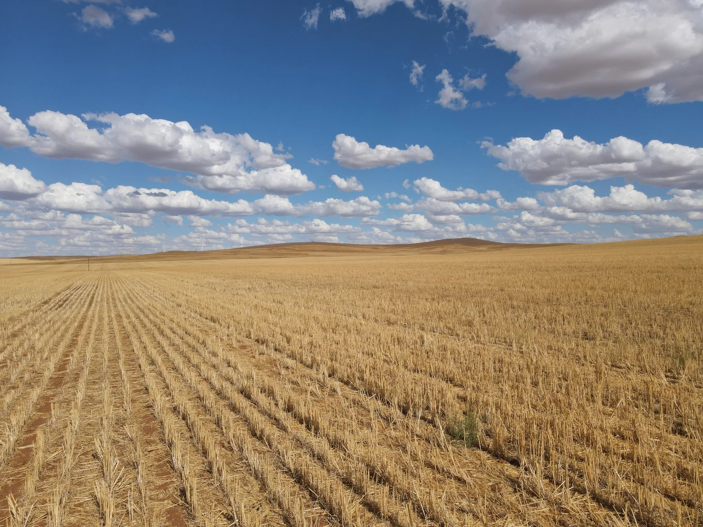 Additional image 3 of 4087 Booborowie Rd, Hallett SA 5419