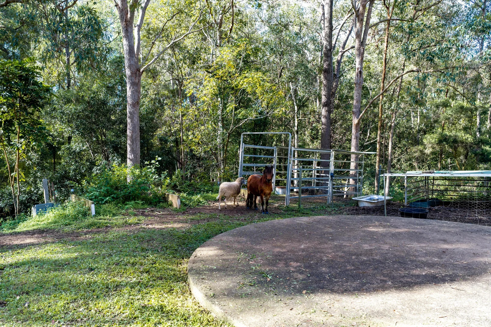 Image 31
