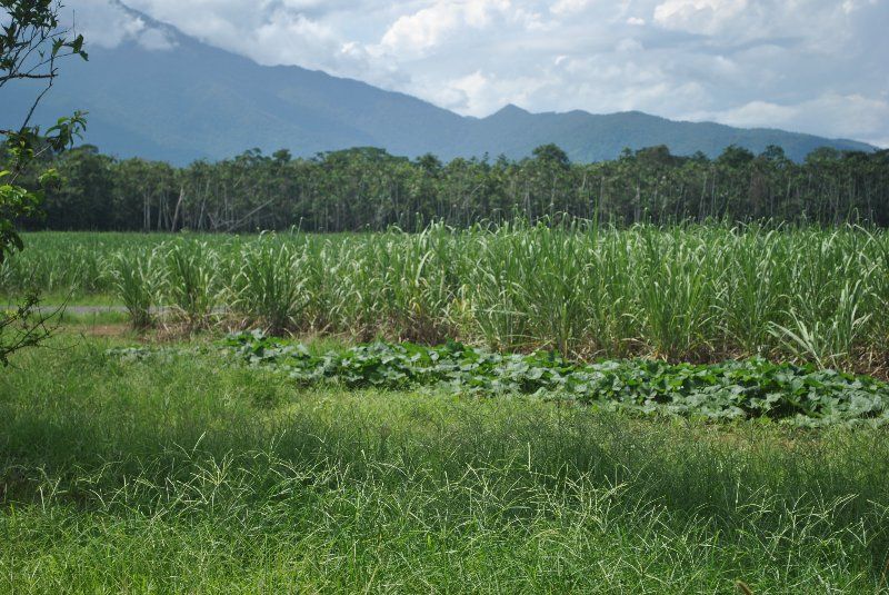 Babinda QLD 4861, Image 2