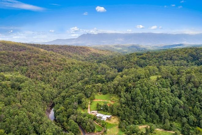 Picture of 462 BYRRILL CREEK ROAD, BYRRILL CREEK NSW 2484