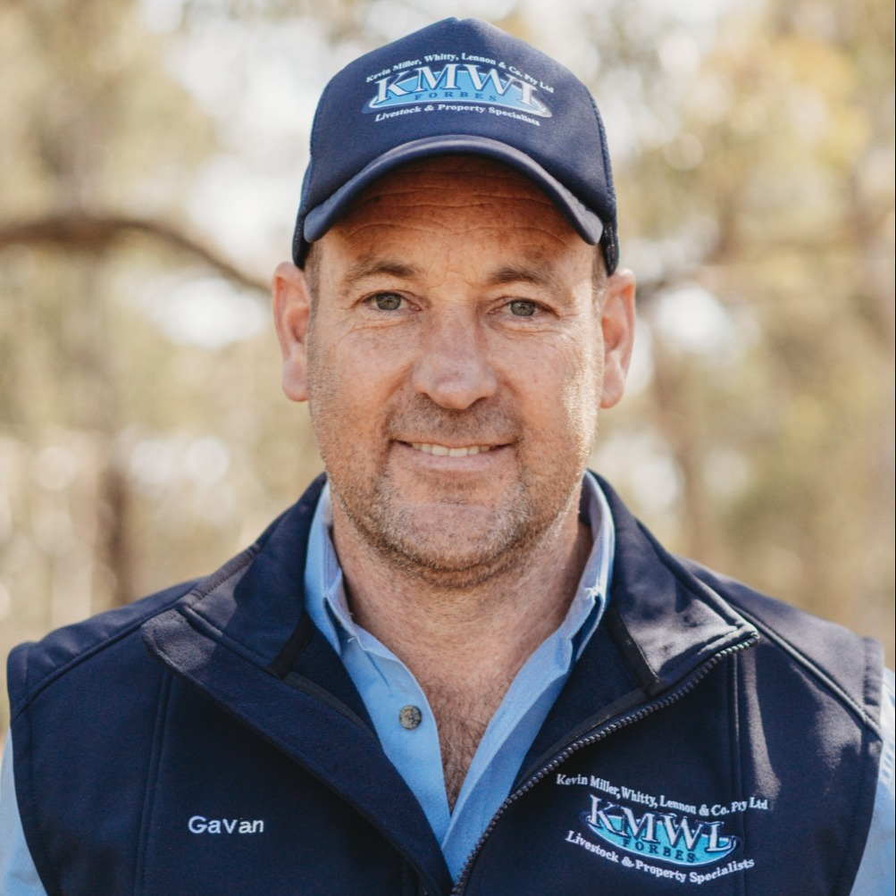 Tullamore NSW 2874 House for Sale Domain