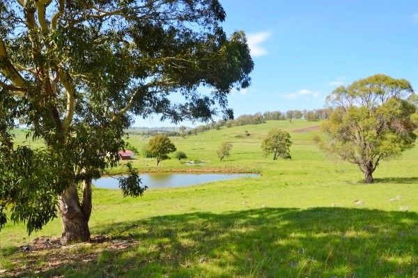 29 Reeves Road, Llangothlin NSW 2365, Image 0