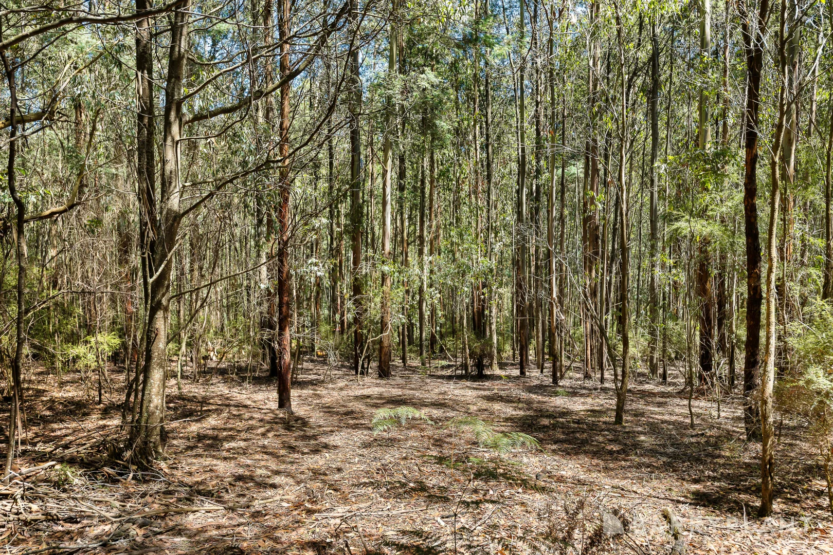 Image 10
