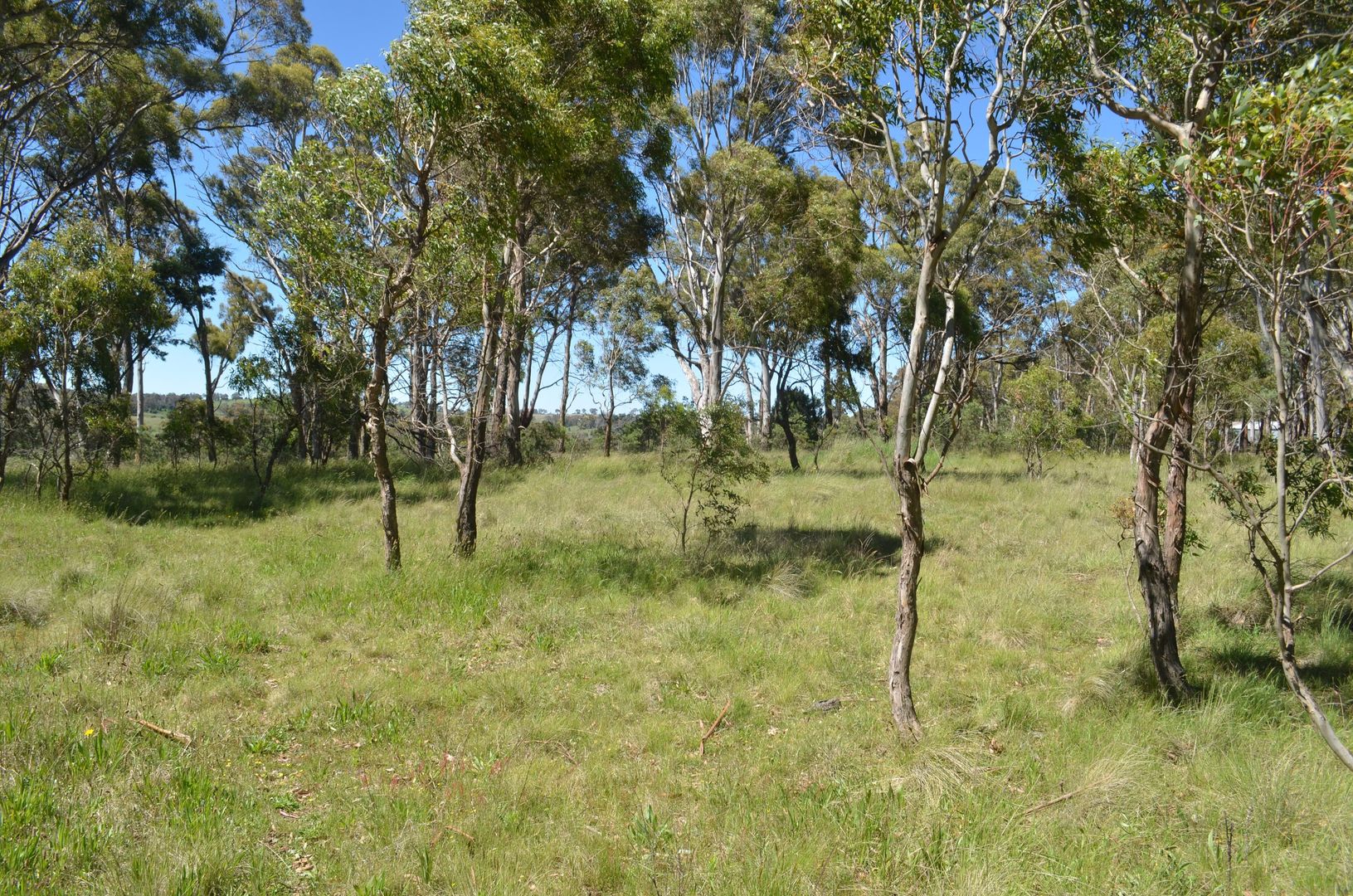 853 Black Mountain Rd, Black Mountain NSW 2365, Image 1