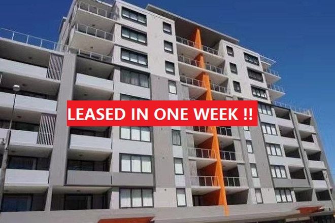 81 172 176 Parramatta Road Homebush Nsw 2140 Apartment For Rent Domain