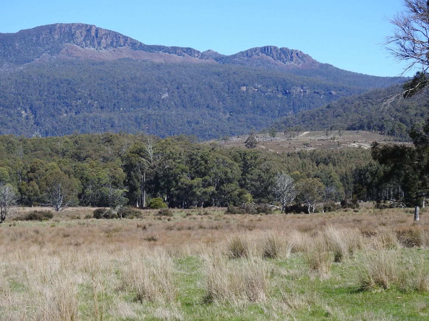 Tubbs Road, Blackwood Creek TAS 7301, Image 1