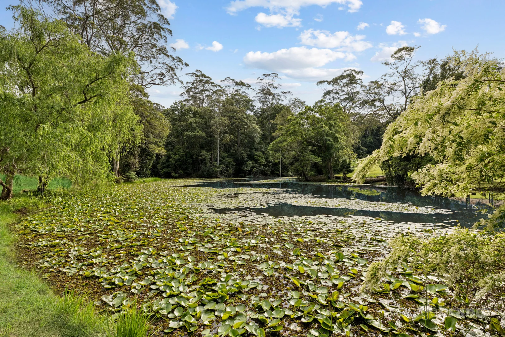 Additional image 20 of 110 Picketts Valley Road, Picketts Valley NSW 2251