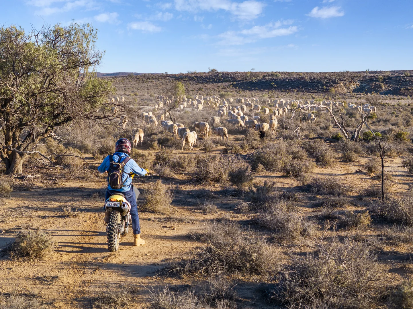 Additional image 22 of Mt Freeling Station Talc Mine Road, Lyndhurst SA 5731